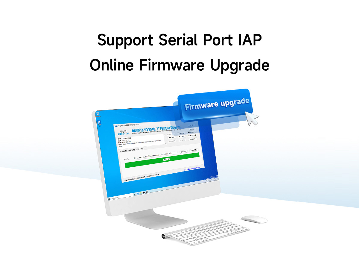 E22-230T30E Support Serial Port IAP, Online Firmware Upgrade