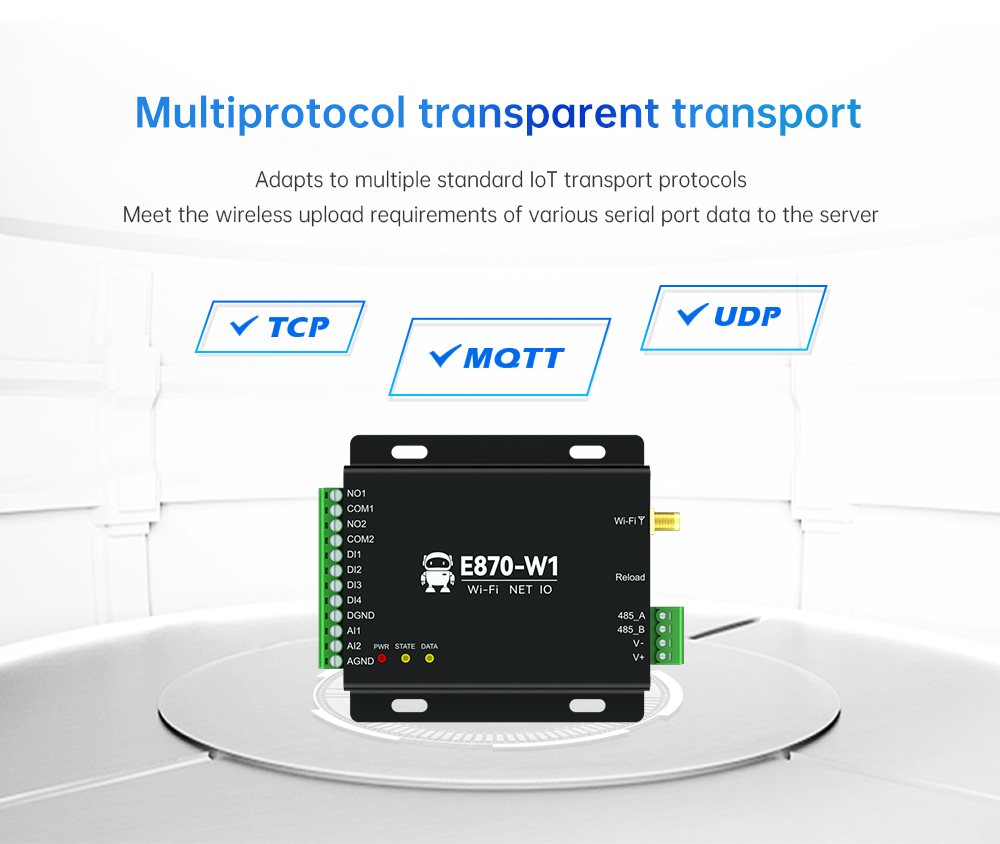 Multiprotocol transparent transport