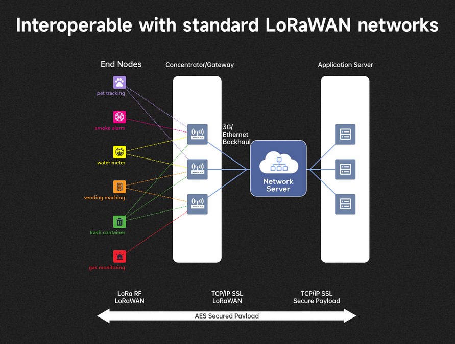 standard lorawan networks.jpg